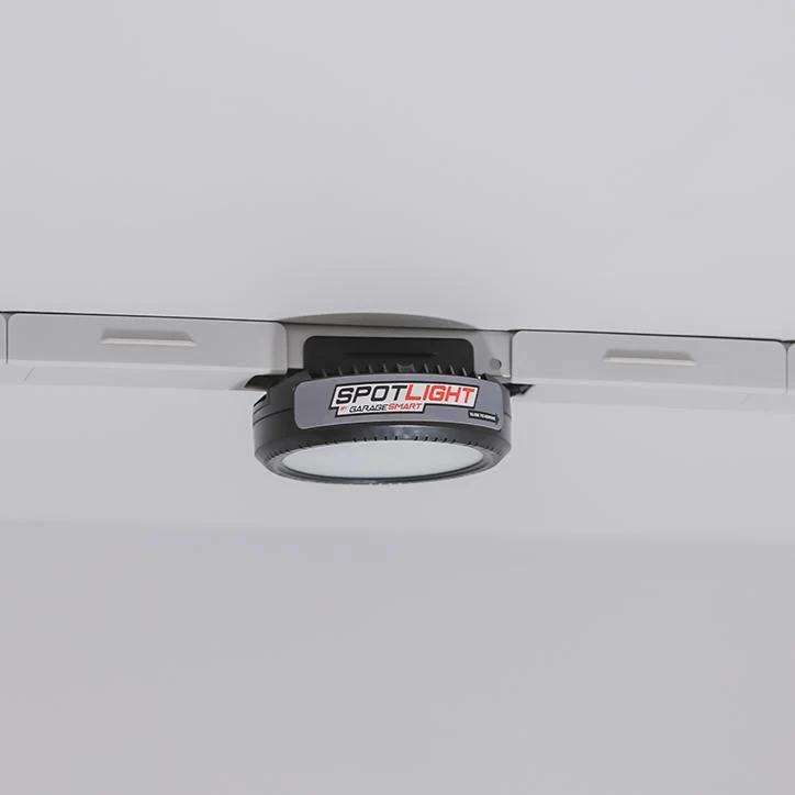 Spotlight - Image 3