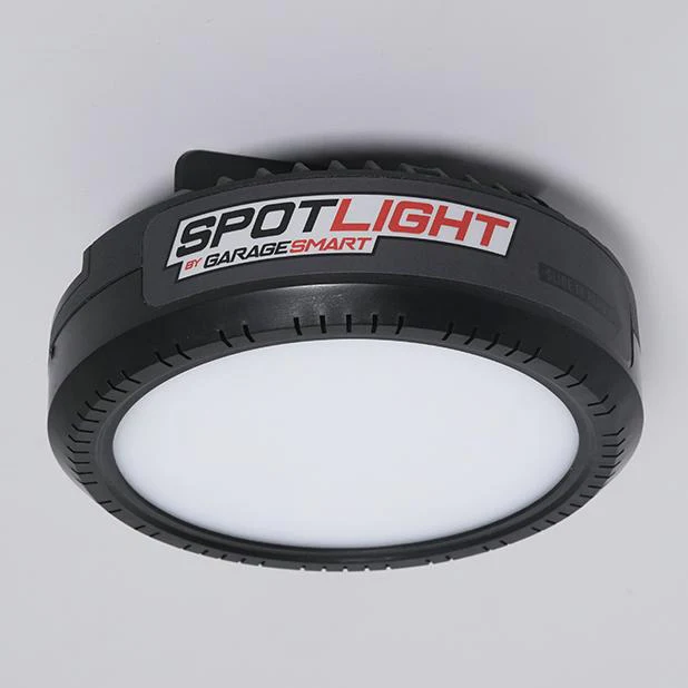 Spotlight - Image 4